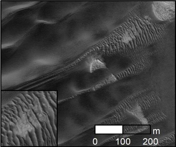 Widespread megaripple activity on Martian North Pole area