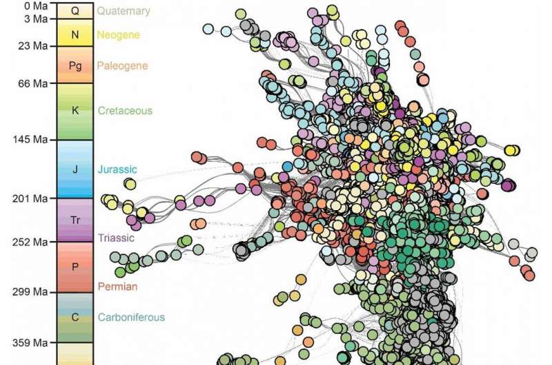 Social Networking for Fossils Shows Community Impacts of Mass Extinctions | Jackson School of Geosciences