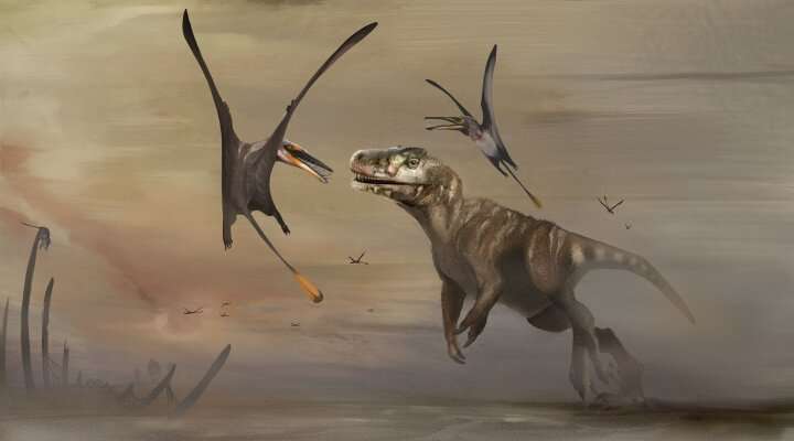 'Superbly preserved' pterosaur fossil unearthed in Scotland