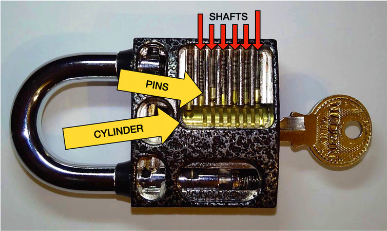 A lock with its inner-workings exposed. Labeled are the shafts, pins and cylinder.