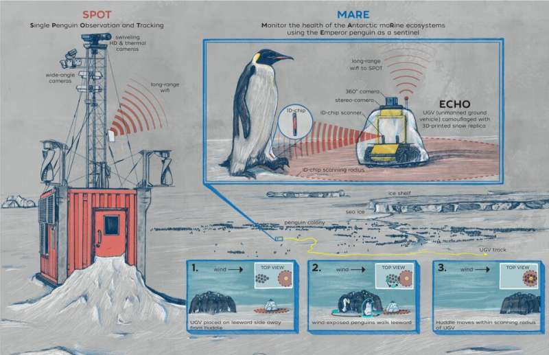 This robot lives with an Antarctica penguin colony, monitoring their every move