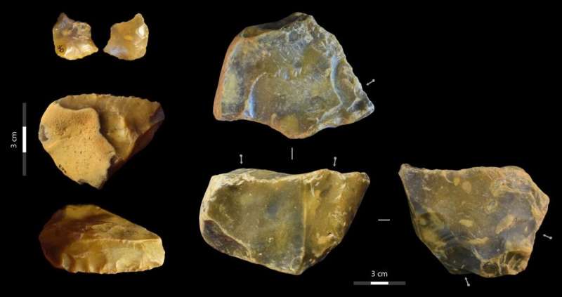 Canterbury suburbs were home to some of Britain’s earliest humans, 600,000-year-old finds reveal