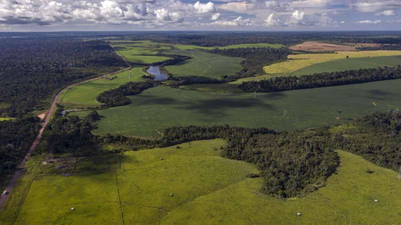 Amazon landscape change study highlights ecological harms and opportunities for action