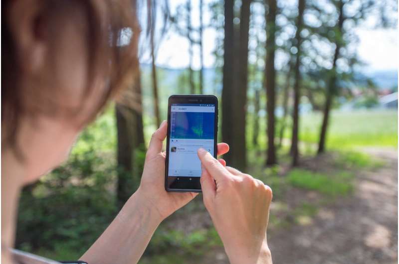 Identifying bird species by sound, the BirdNET app opens new avenues for citizen science