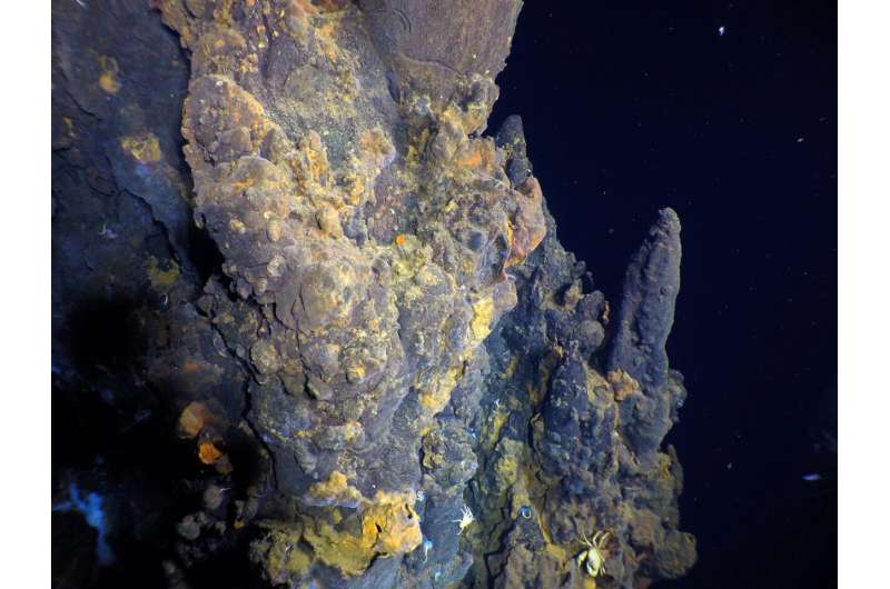 Off-axis high-temperature hydrothermal field discovered at the East Pacific Rise 9°54'N