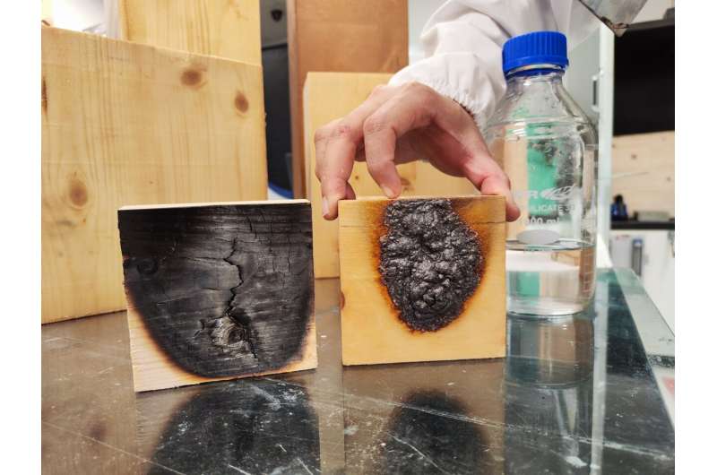 NTU scientists invent invisible coating to make wood “fireproof”