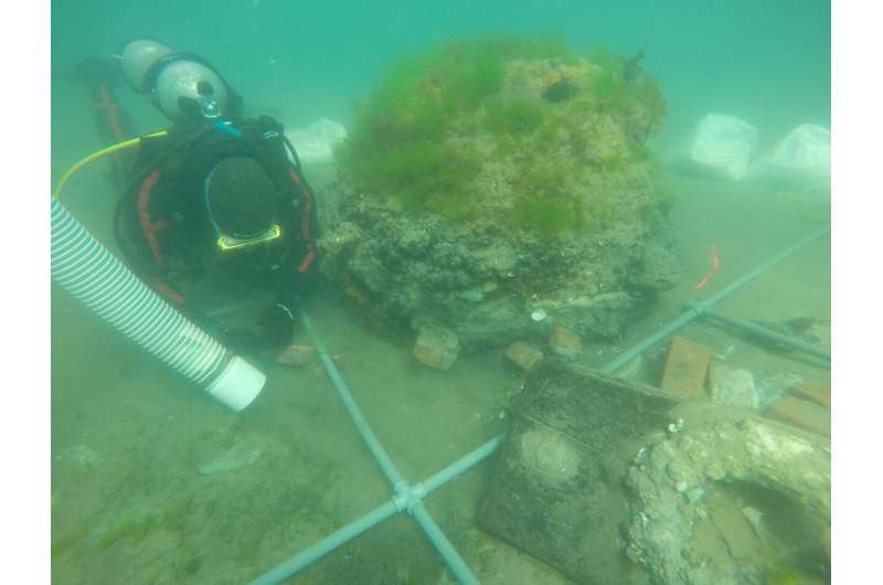 Scientists say a shipwreck off Patagonia is a long-lost 1850s Rhode Island whaler