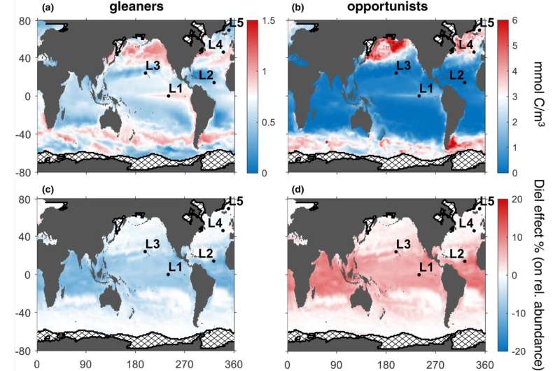New model sheds light on day/night cycle in the global ocean