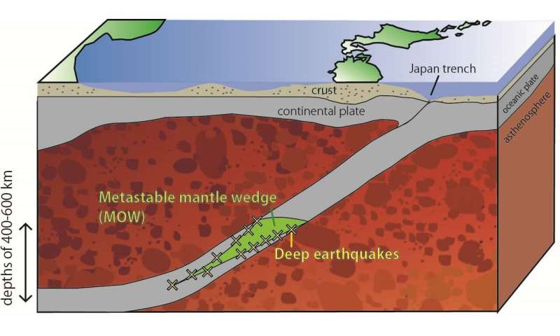 Phase transitions in olivine may be the cause of deep seismic faulting