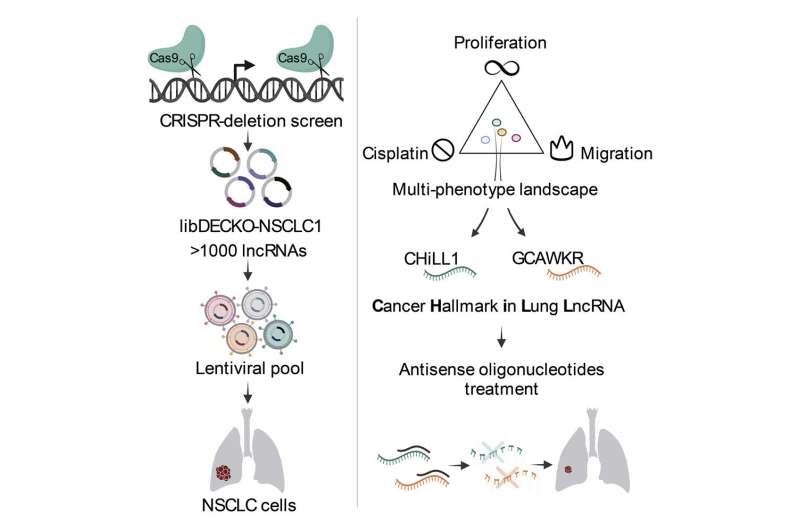 Discovering new cancer treatments in the 'dark matter' of the human genome