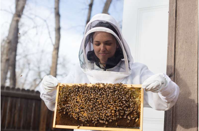 How many bees can you fit in an X-ray machine? That's not a joke