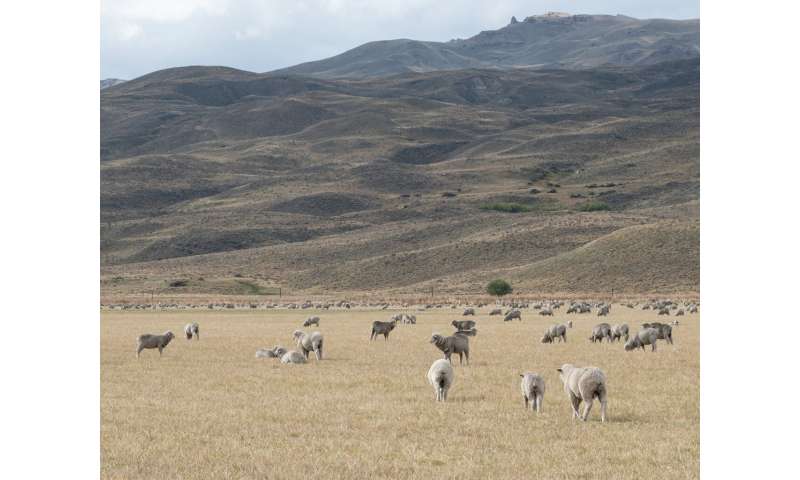 Increased grazing pressure threatens the most arid rangelands