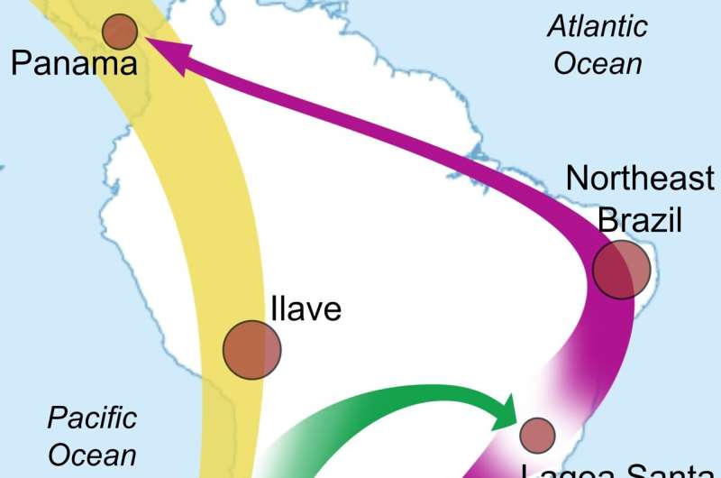 Ancient DNA analysis sheds light on the early peopling of South America