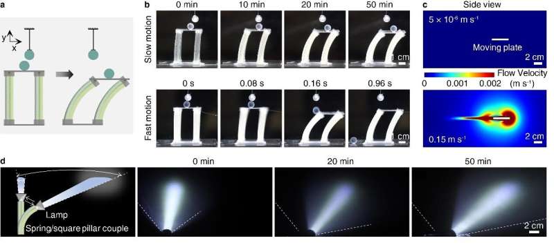 Researchers Reveal Secret of Ultra-slow Motion of Pine Cones