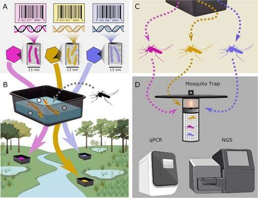 To track disease-carrying mosquitoes, researchers tag them with DNA barcodes
