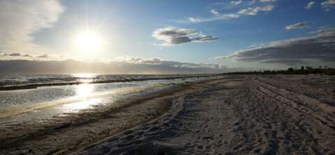 Salton Sea dust triggers lung inflammation
