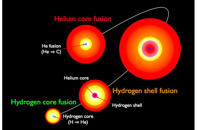 Astronomers discover irregularities in the core of red giants