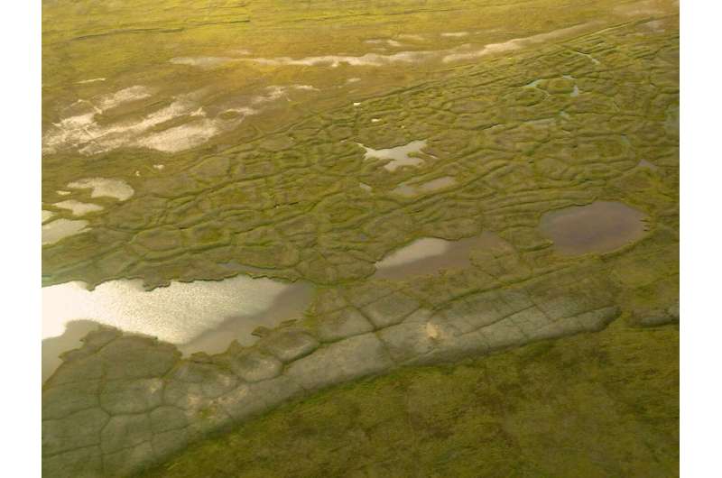 Scientists find iron cycling key to permafrost greenhouse gas emissions