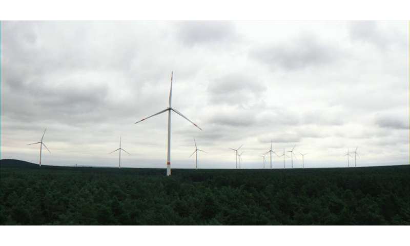 Collision risk and habitat loss: Wind turbines in forests impair threatened bat species