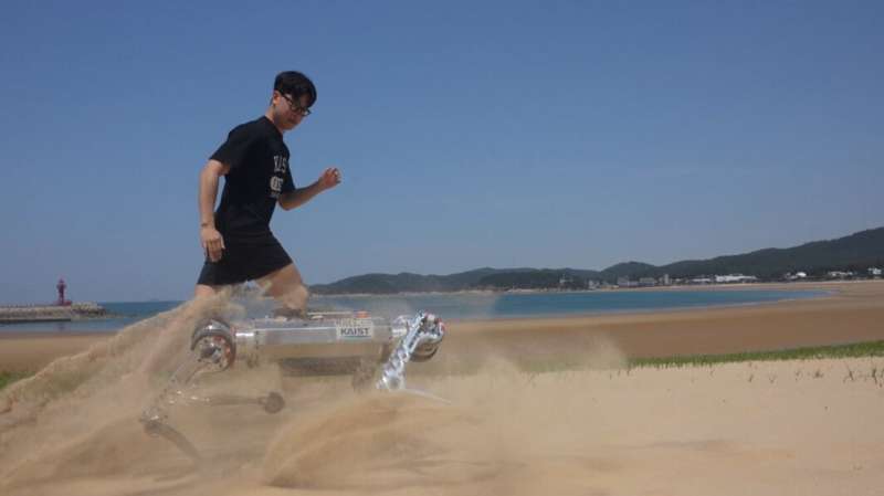 RaiBo - a versatile robo-dog runs through the sandy beach at 3 mile/sec
