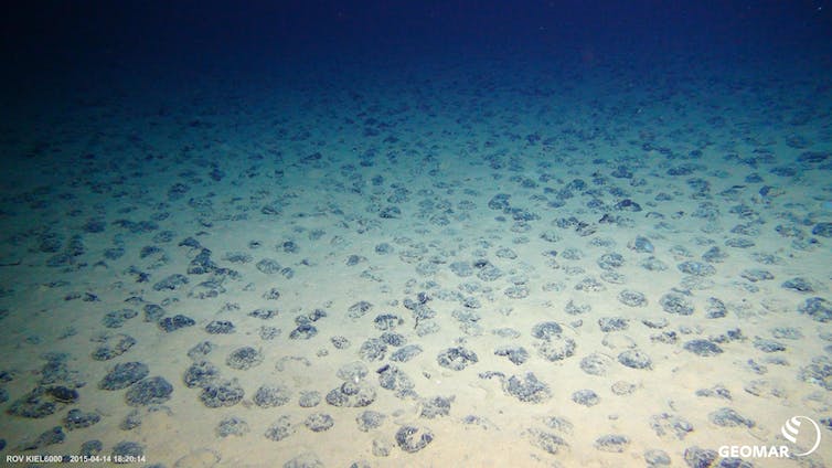 A view looking across a sea floor with nodules looking like cobblestones on a street.