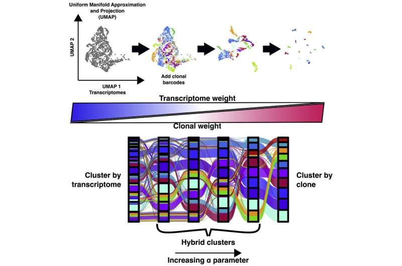 New cell characterization method hints at reasons for resistance to cancer therapies