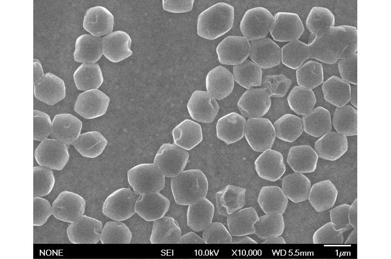 Progress toward fast-charging lithium-metal batteries