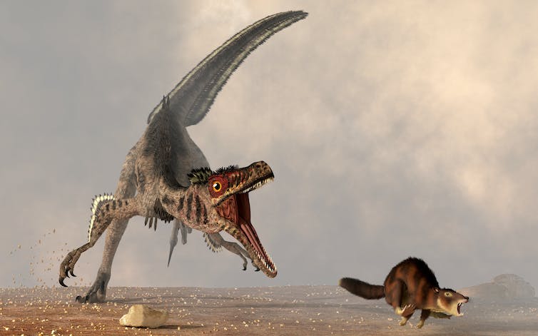 Velociraptor chasing a furry critter
