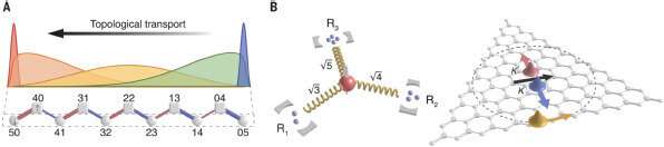 Quantum playground for exploring light topology