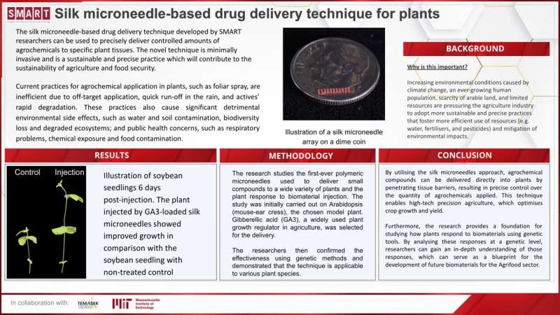 SMART researchers develop the world's first microneedle-based drug delivery technique for plants