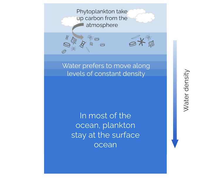 A graphic shows the typical ocean density layers, with phytoplankton in the upper layers.