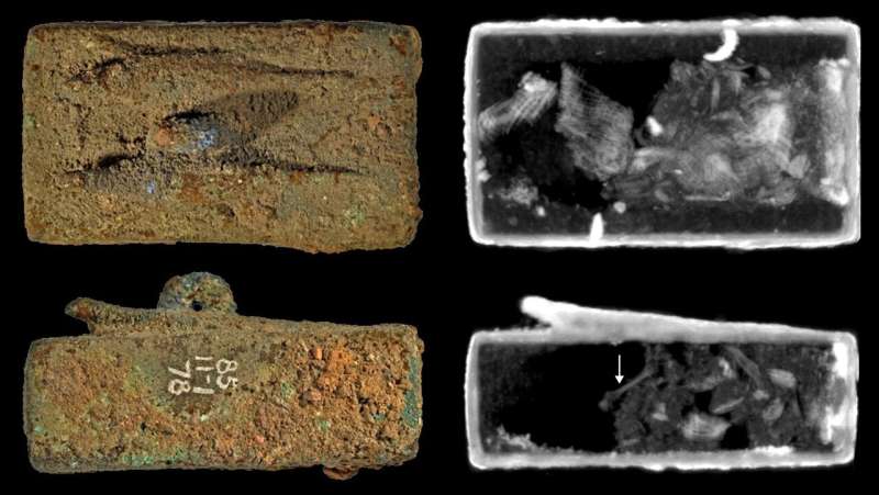 Insights into sealed ancient Egyptian animal coffins