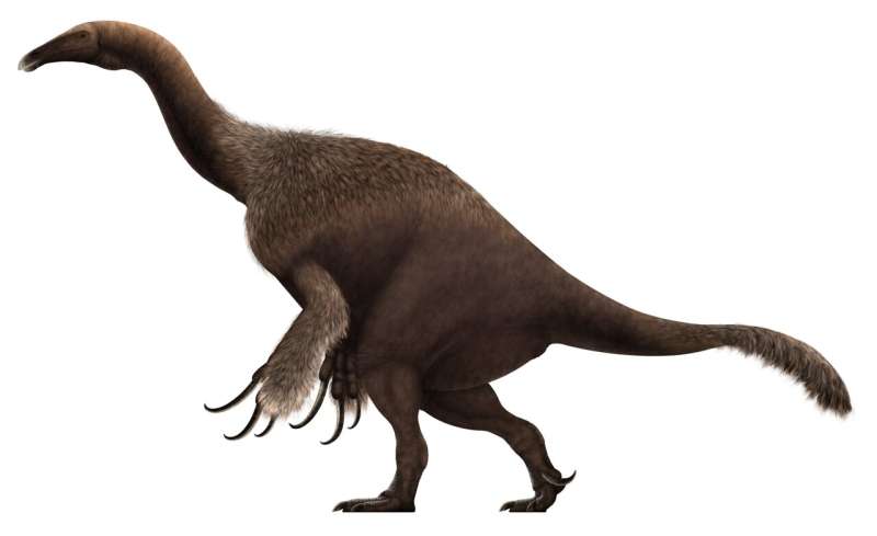 Machine learning identifies first British fossil of therizinosaur dinosaur