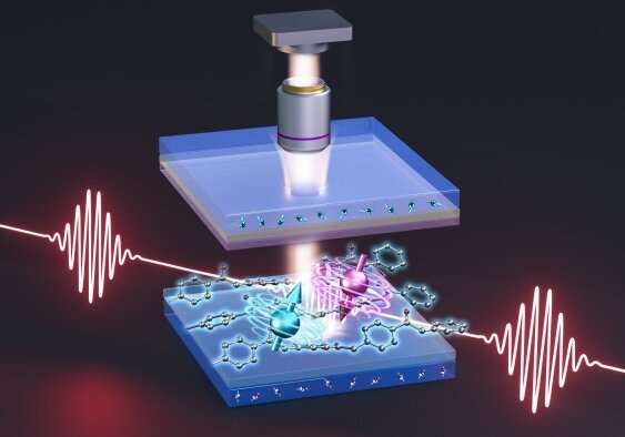 Organic light-emitting diodes can be harnessed to map magnetic fields