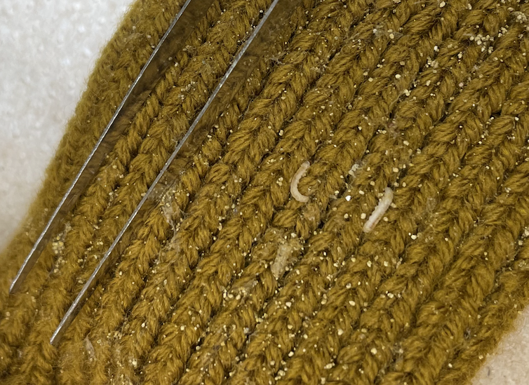 little worms on the surface of a knitted material