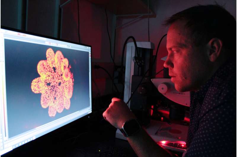 CRISPR/Cas9 reveals a key gene involved in the evolution of coral skeleton formation