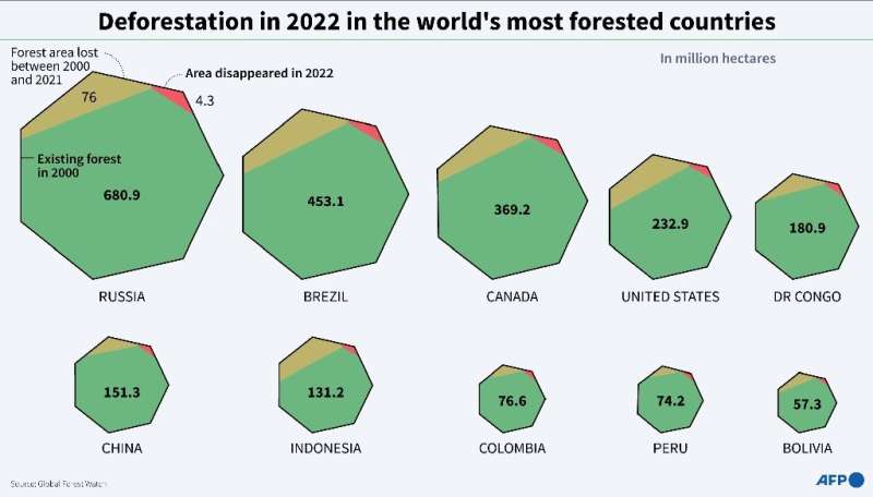 Deforestation in 2022 in the world's most forested countries