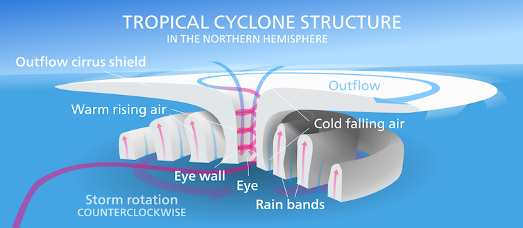 Schematic showing the formation of a hurricane, which gains its energy from warm ocean surface water.