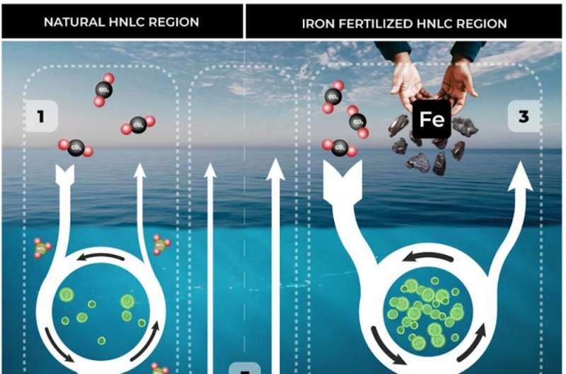 Oceans absorb 30% of emissions, driven by a huge carbon pump. Tiny marine animals are key to working out its climate impacts