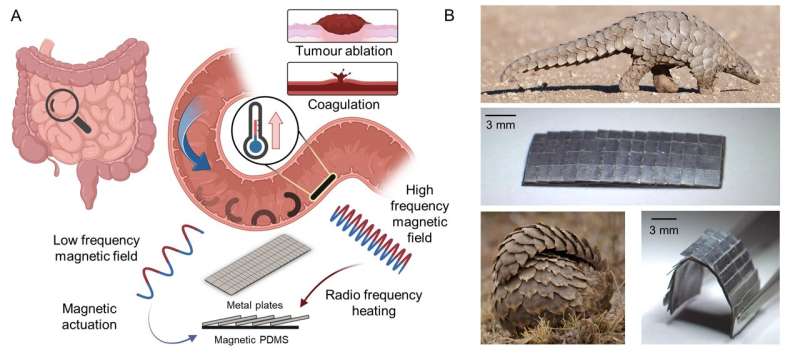 Pangolin the inspiration for medical robot