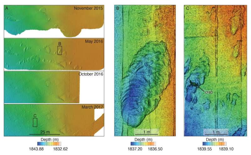 Research reveals processes that sculpt submarine canyons