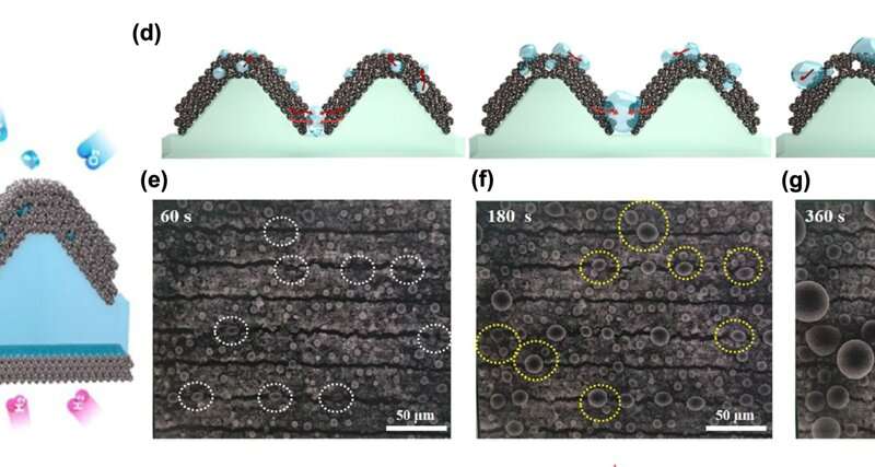 Three-dimensional structure control technology enables high-performance fuel cells with higher stability