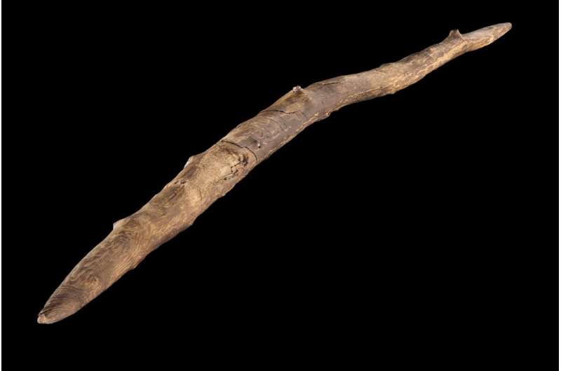 Early humans were weapon woodwork experts, study finds