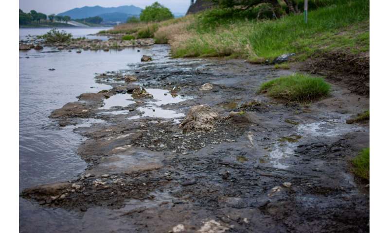 Miocene period fossil forest of Wataria found in Japan