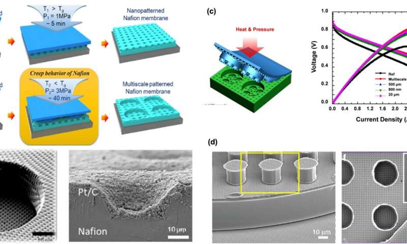 Three-dimensional structure control technology enables high-performance fuel cells with higher stability