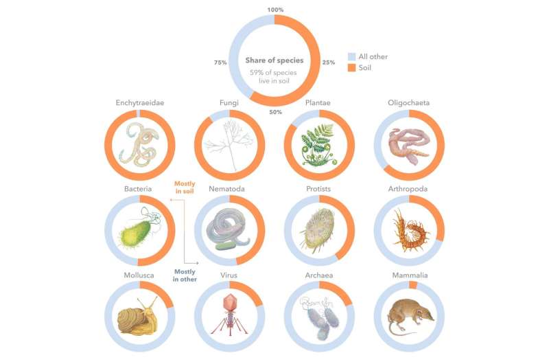 Two thirds of the world's biodiversity lives in the soil