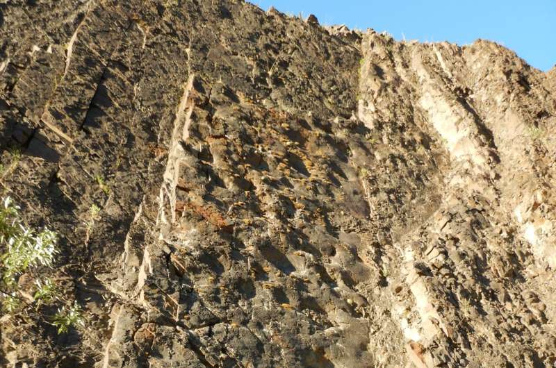 Scientists explore dinosaur 'coliseum' in Denali National Park