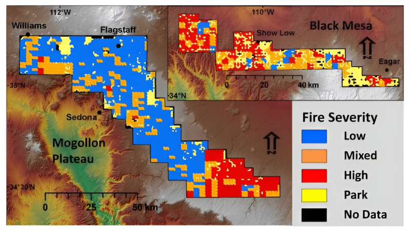 Countering false and omitted evidence of historically heterogeneous western US dry forests and mixed-severity fires