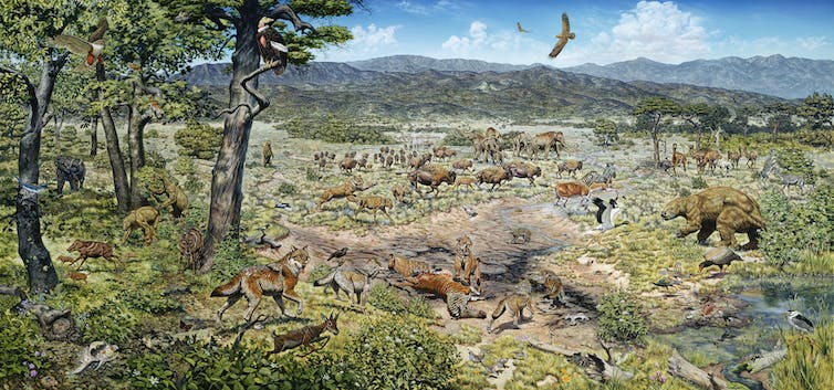 Many animals roam across a green landscape, including big cats, dire wolves, giant sloths, bison, mastodons and birds of prey.