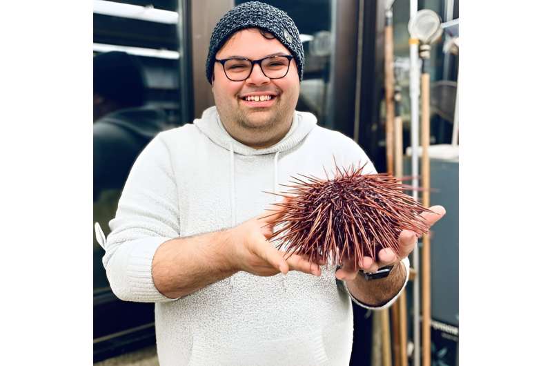 Sea urchins are struggling to 'get a grip' as climate change alters ecosystems